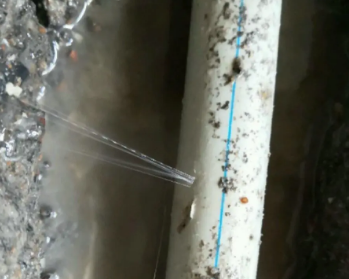 牡丹江市卫生间测漏水多少钱